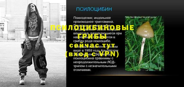 соль ск Богданович