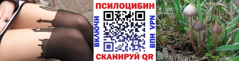 Галлюциногенные грибы Cubensis  Купить закладки  Красный Сулин 